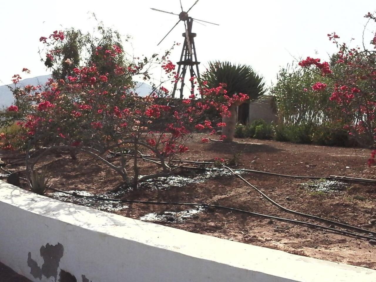 Vila Rural Rugama Puerto del Rosario  Exteriér fotografie